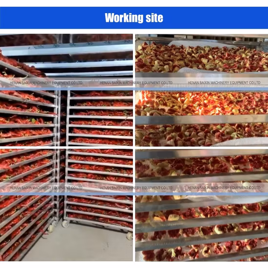 Промышленный дегидратор пищевых продуктов из нержавеющей стали